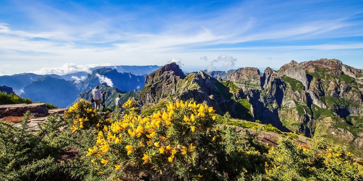 Things to Do in Madeira: Best Attractions & Hidden Gems | The Gap Decaders