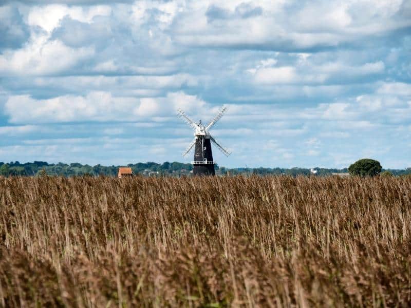 black and white windmill see in the distance through a field of brown grasses