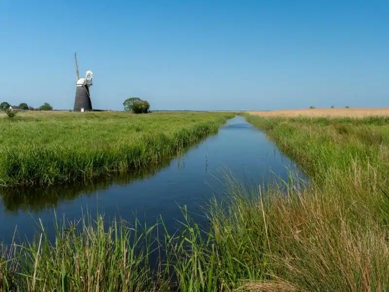 far-reaching view along a small river through fields of wheat and grasses with a black windmill in the distance