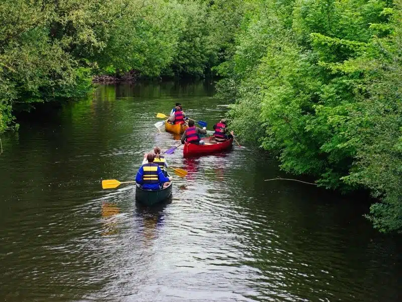 People wearing lifejackets in three canoes, green, red and yellow, on a river lined with trees
