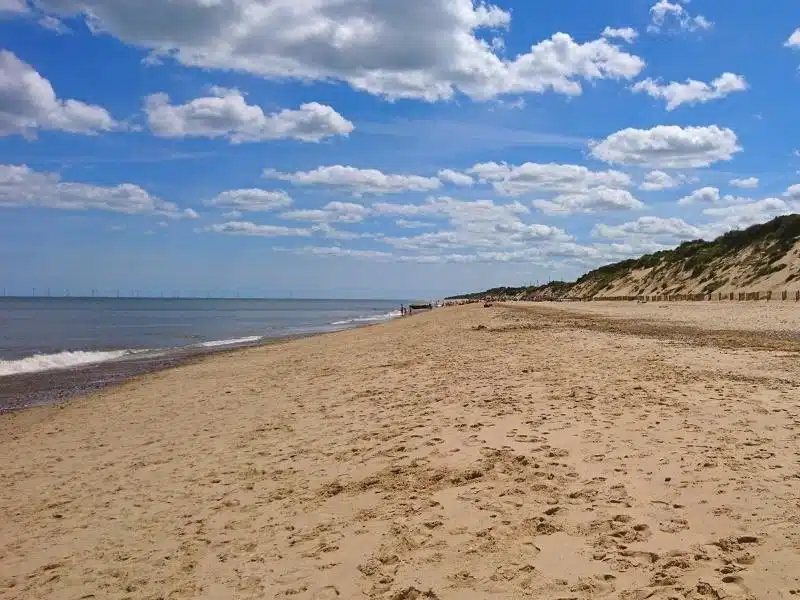 long sandy beach with low cliffs and many foot and paw prints in the sand