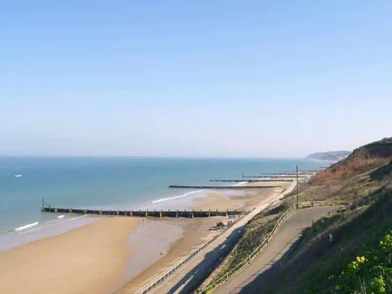 long beach with series of wooden breakwaters and an access path