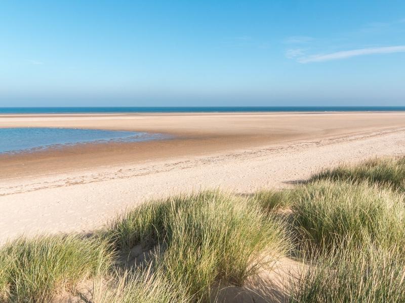 crescent shaped beach with grassy dunes