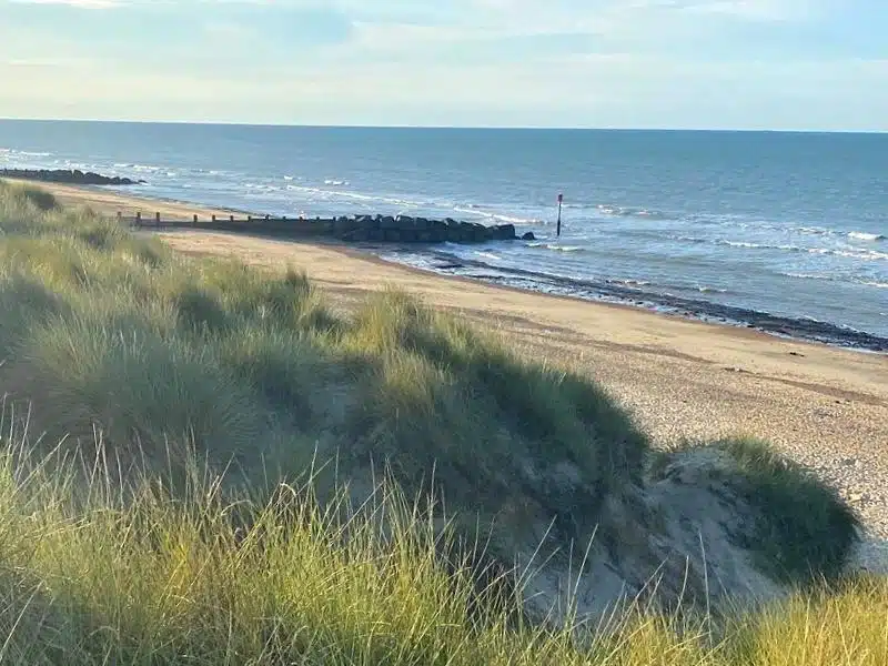 beach with rock groynes and grassy dunes