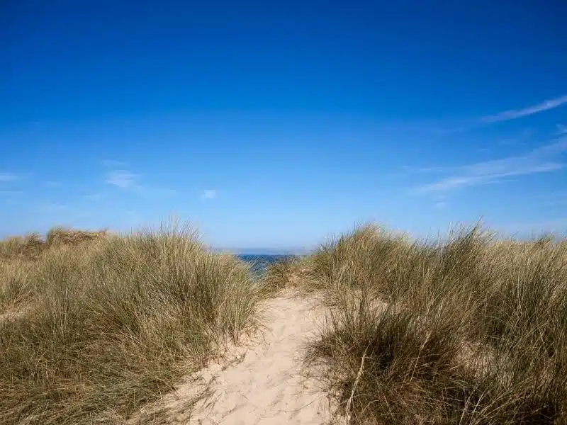 sandy path to the beach and sea