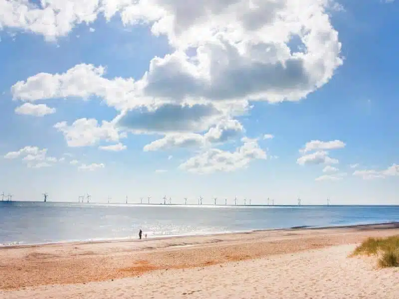 sandy beach with wind turbines in the distant sea