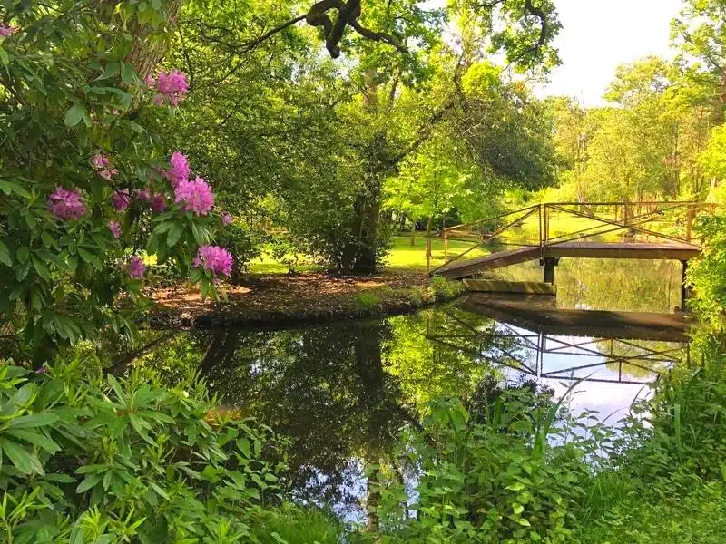 small lake with a bridge and shrubs