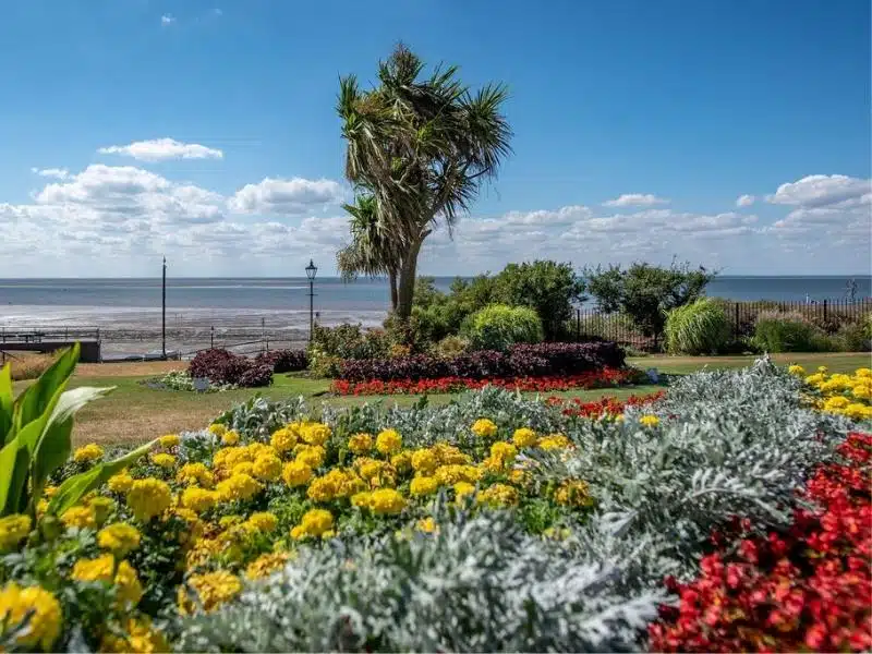 colouful gardens with a sea view