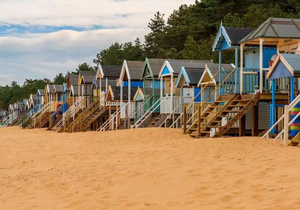 a row of colourful painted wooden beach huts with steps to the sand, backed by pine trees