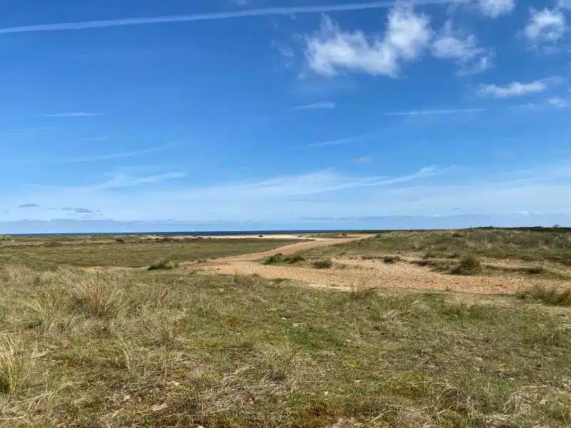 sandy path to a distan beach surrouned by grass