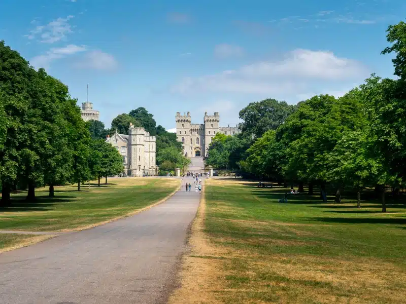 stone castle at the end of a long walk lined with grass and trees