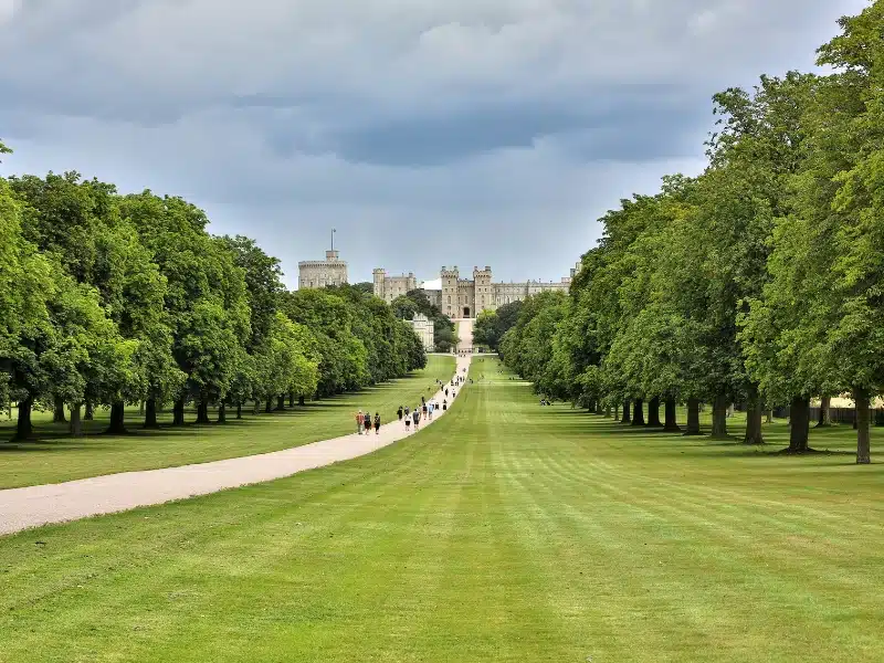 long gravel path lined with grass and trees leading to a royal castle