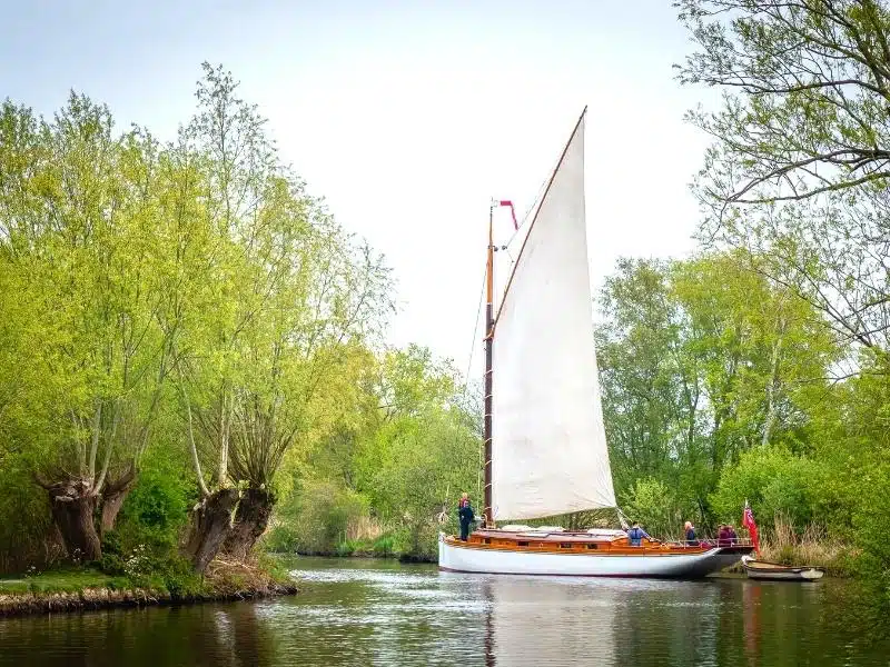 White wooden sailing boat on a river surrounded by trees