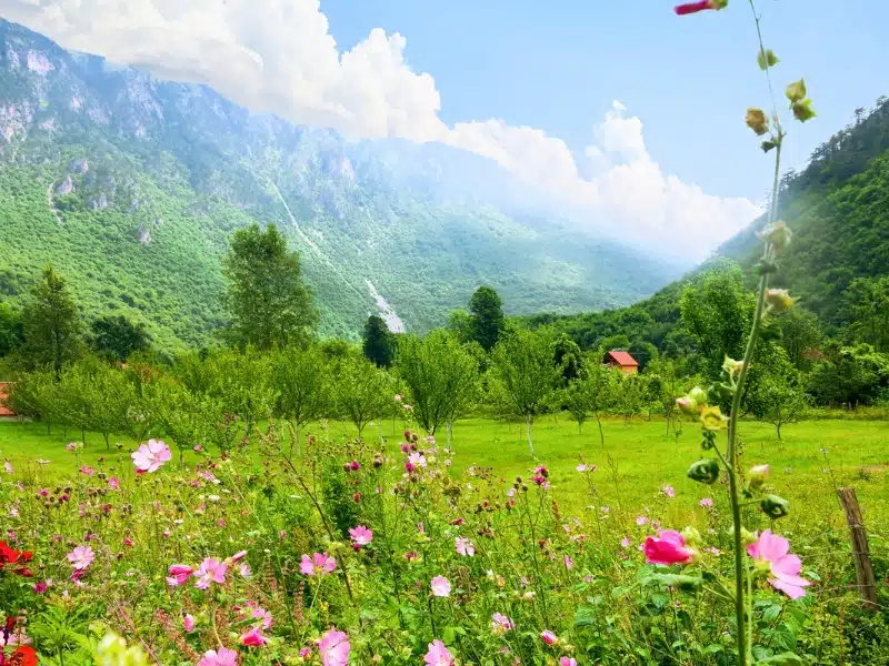 Durmitor National Park