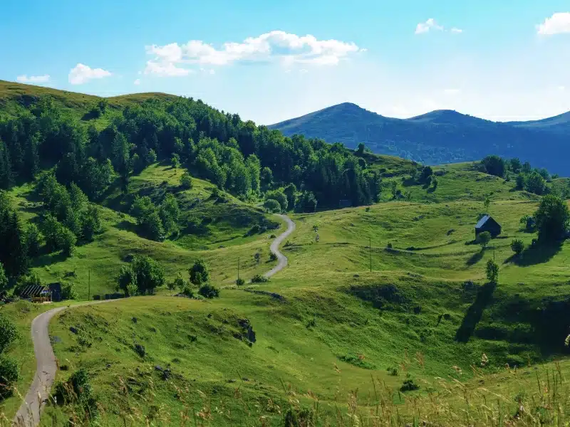 narrow road windng through a lush valley