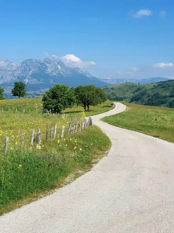 narrow road surrouned by grass and wildflowers with mountains in the distance