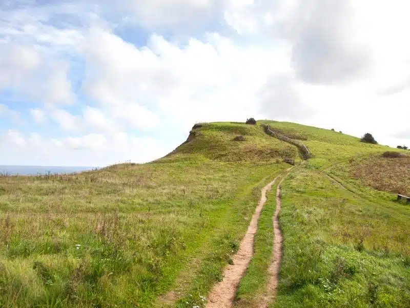 path through a grassy field by the sea leading to a small headland