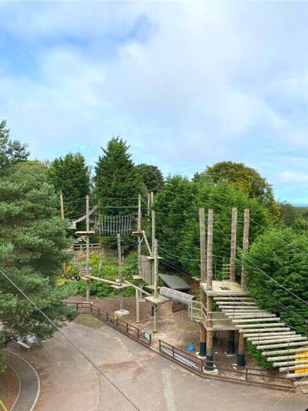 high ropes course amongst trees