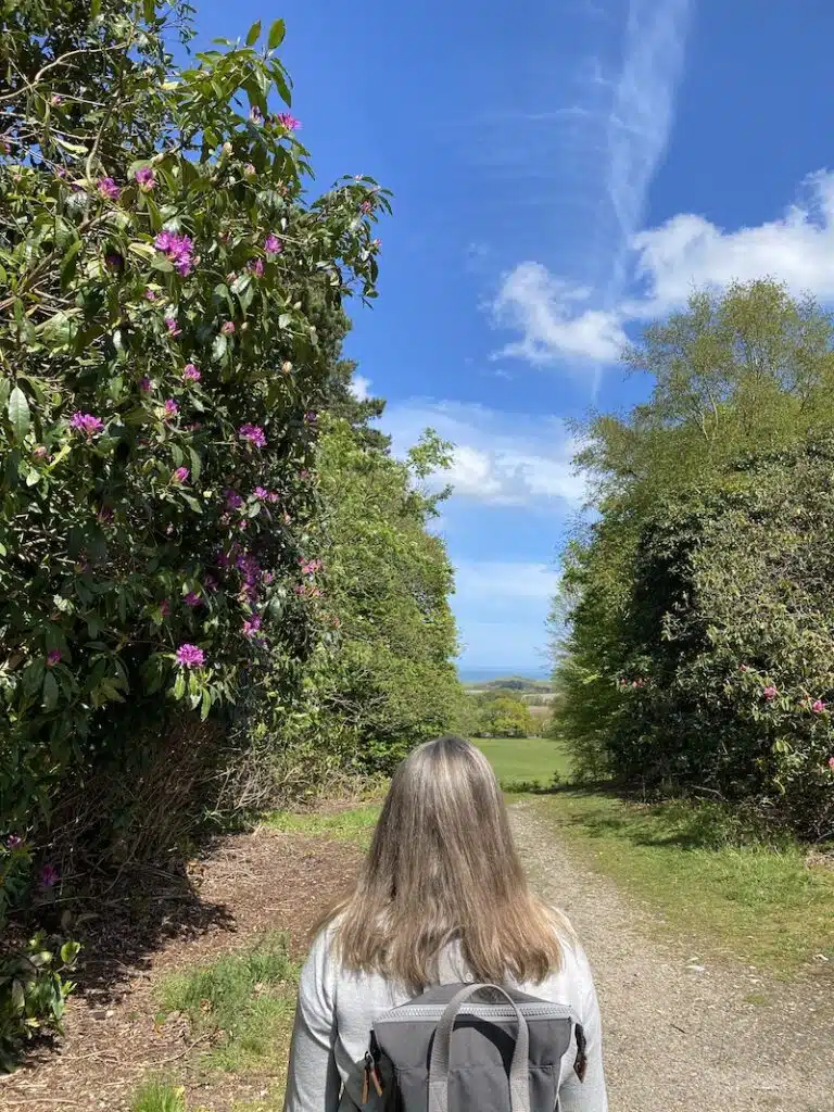 woman standing by pink Rhodedendrons looking towards the sea