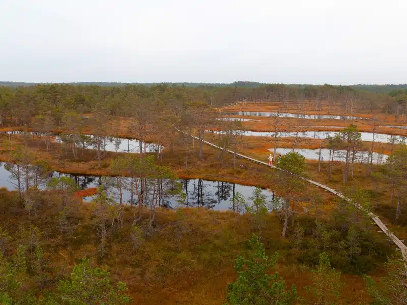 Aerial view of Viru Raba, Lehemaa National Park, Estonia