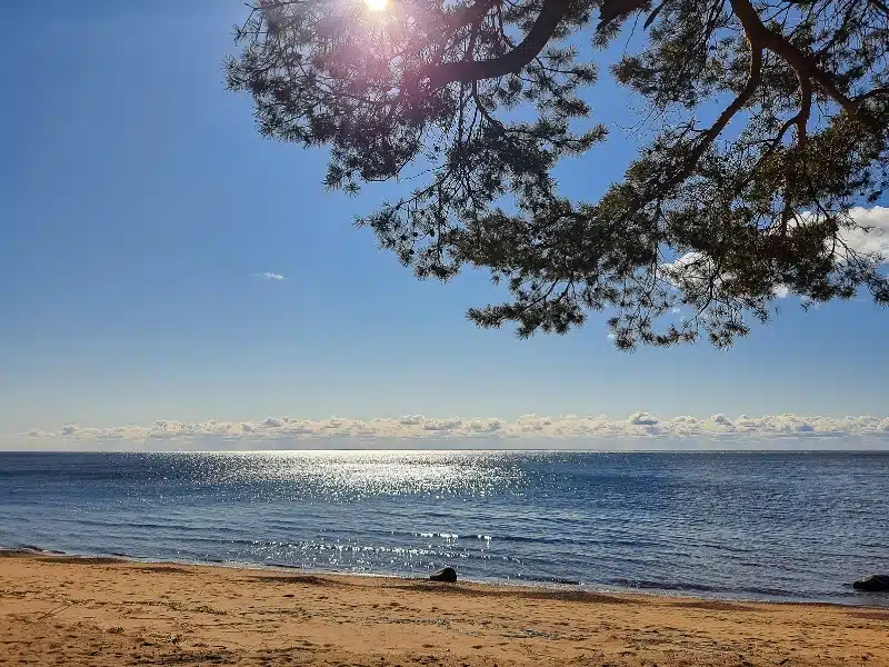 Baltic Sea shore line. Beautiful sea coast on sunny summer day.