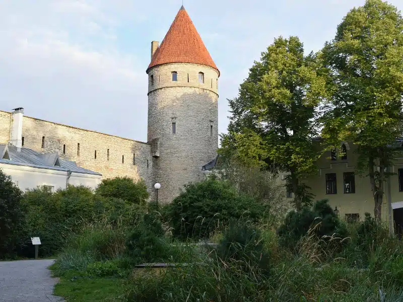 brick build wall and circular tower with a conical roof belonging to a castle, seen over a garden of grasses and trees