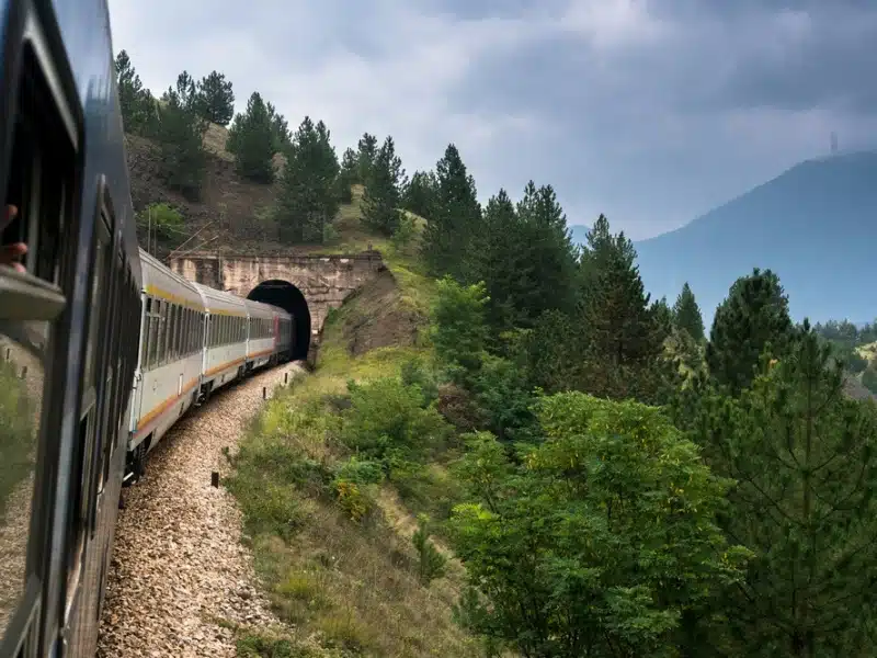 long train on a wooded embankment going into a tunnel