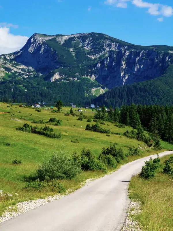 road through grassy meadows with small houses and mountains in the distance