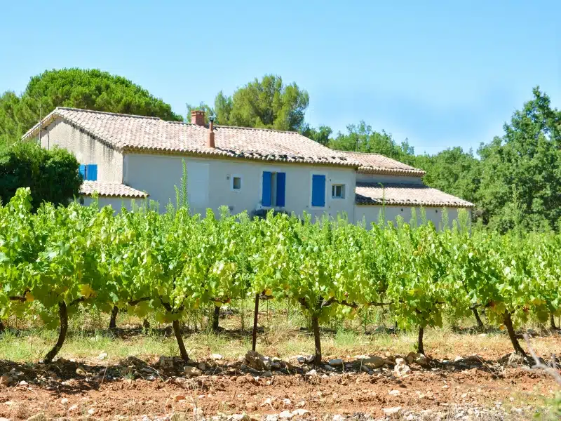 Vineyards and a typical provencal house in Provence, France