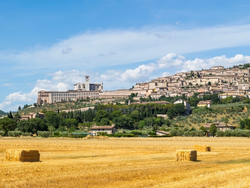 religious buildings and a small hill town with a field of ripe wheat in the foreground