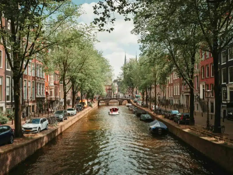 Canal in Amsterdam lined with leafy trees and a bridge in the distance