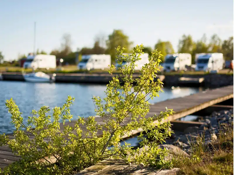 row or white motorhomes camped next to a lake with a wooden boardwalk