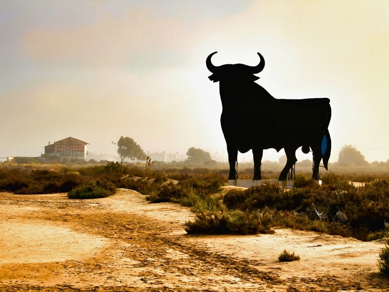 Large black Osborne bull beside a road in the Spanish countryside