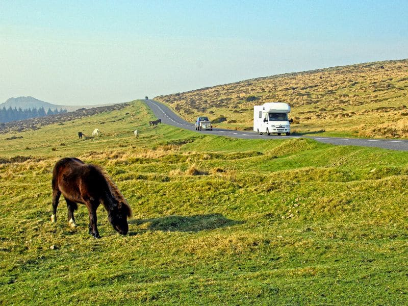 Motorhome on a road through a moor with a pony grazing on the grass