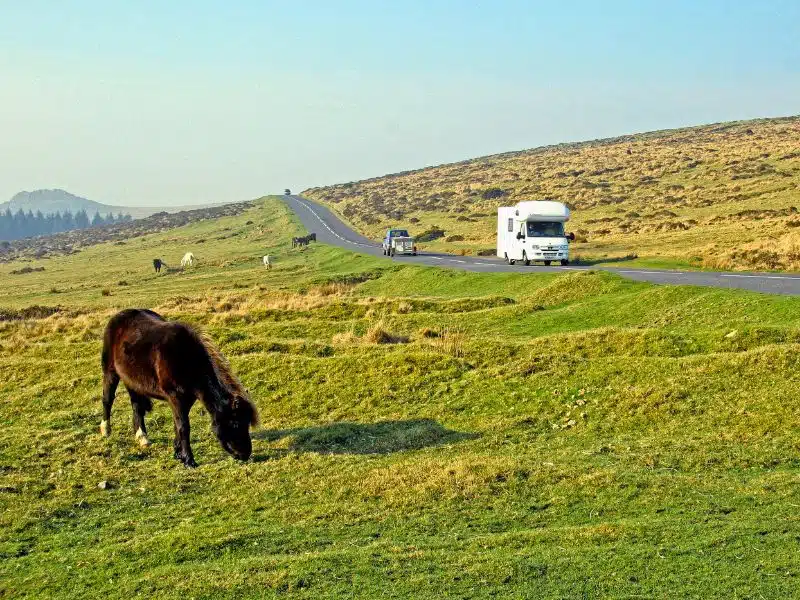 Motorhome on a road through a moor with a pony grazing on the grass