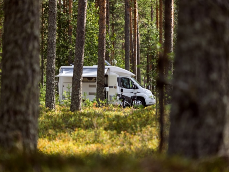 Motorhome with its awning out seen through tall trees and surrouned by bracken