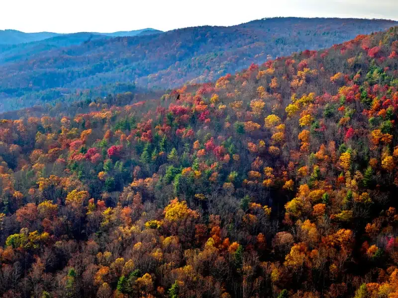 Fall colors have arrive along Virginia's Blue Ridge Parkway.