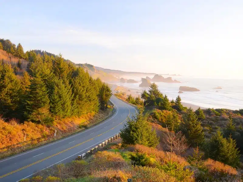 a highway along southern oregon coast with afternoon light