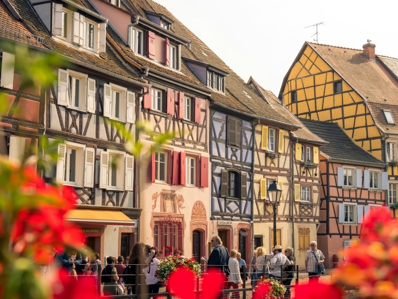 Brightly colored medieval timbered buildings in a row with red flowers in the foreground