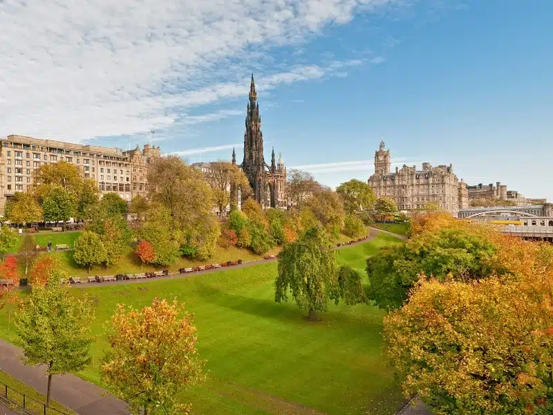 Urban gardens displaying autumn foliage around a central area of grss, with a church spire and other buildings in the background