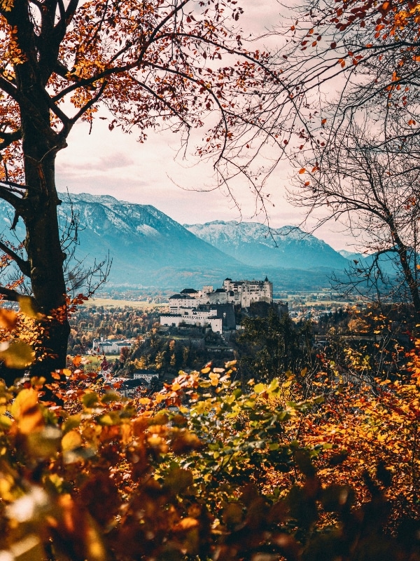 view of a white turreted castle with a mountain backdrop seen theough autumn foliage