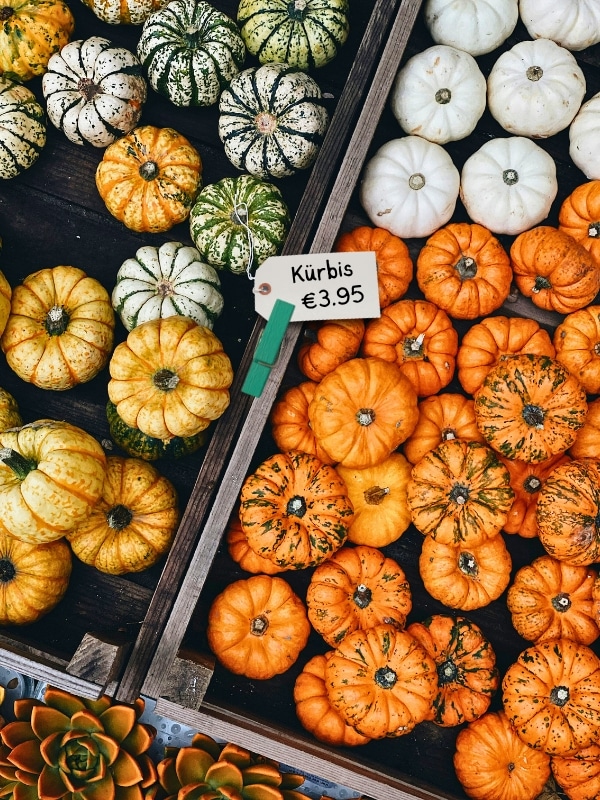 Trays of orange, greem, yellow and white pimkins with a for sale label