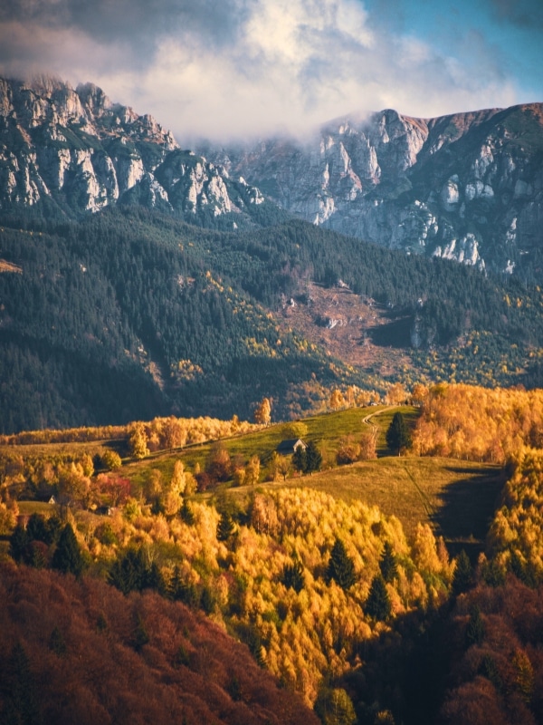 pastures of fall colors with a dramatic mountain backdrop