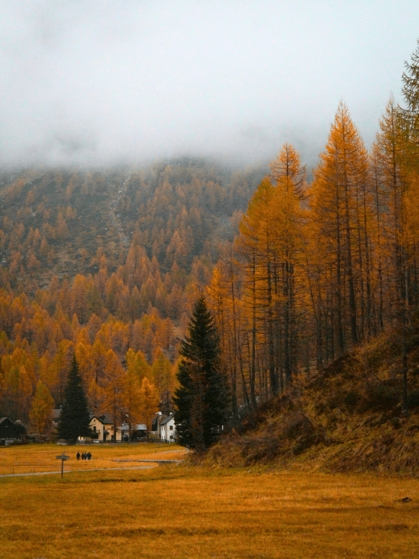 Autumnal trees line misty mountainsides by a few white houses and hikers in the distance