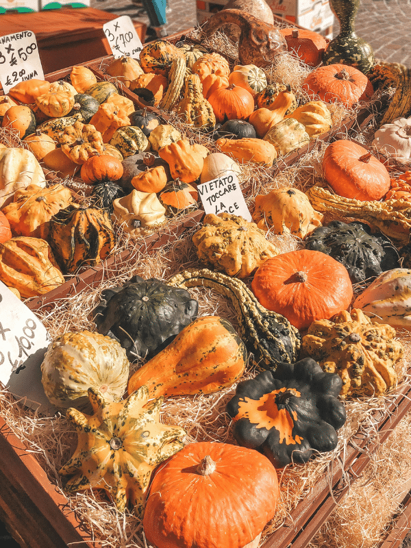 Colorful pumkins and gourds displayed on straw in crates at a market