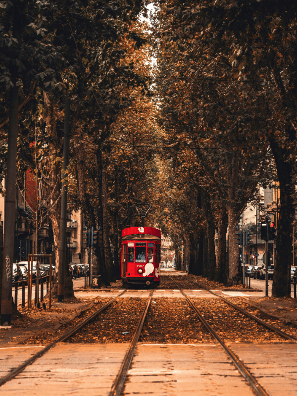 Red tram on tracks under a canopy of autumn trees