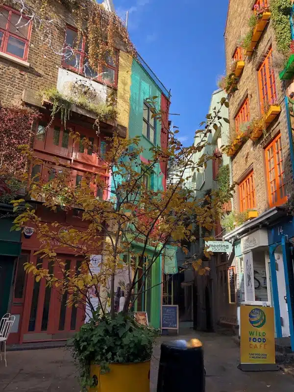Courtyard of tall buildings with colorful windows and walls and an autumnal tree in the centre