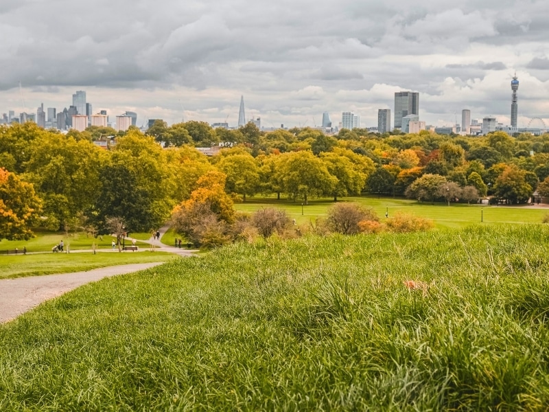 City park with grass and autumn colored trees and a city skyline in the background