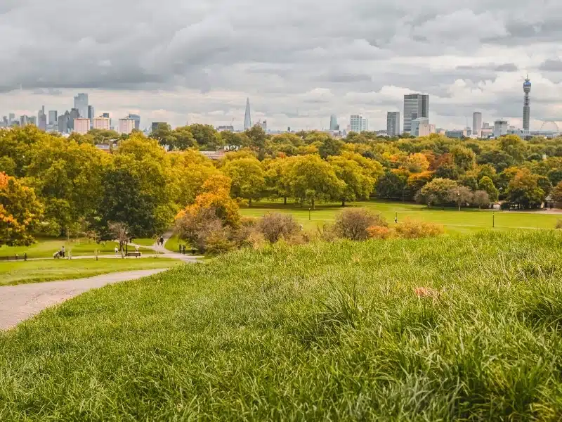 City park with grass and autumn colored trees and a city skyline in the background