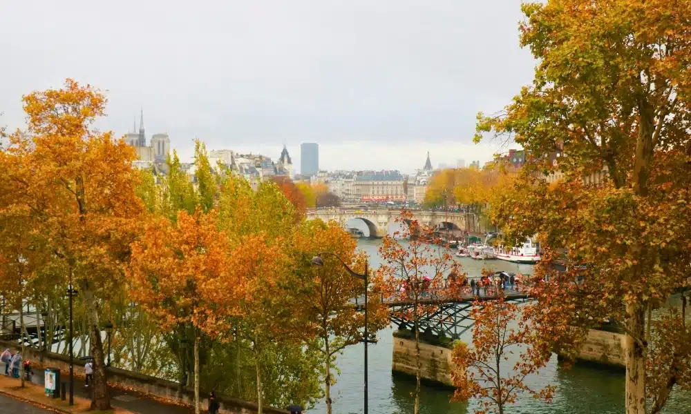 Autumn trees along a river bank and around a bridge with a city viable in the distance